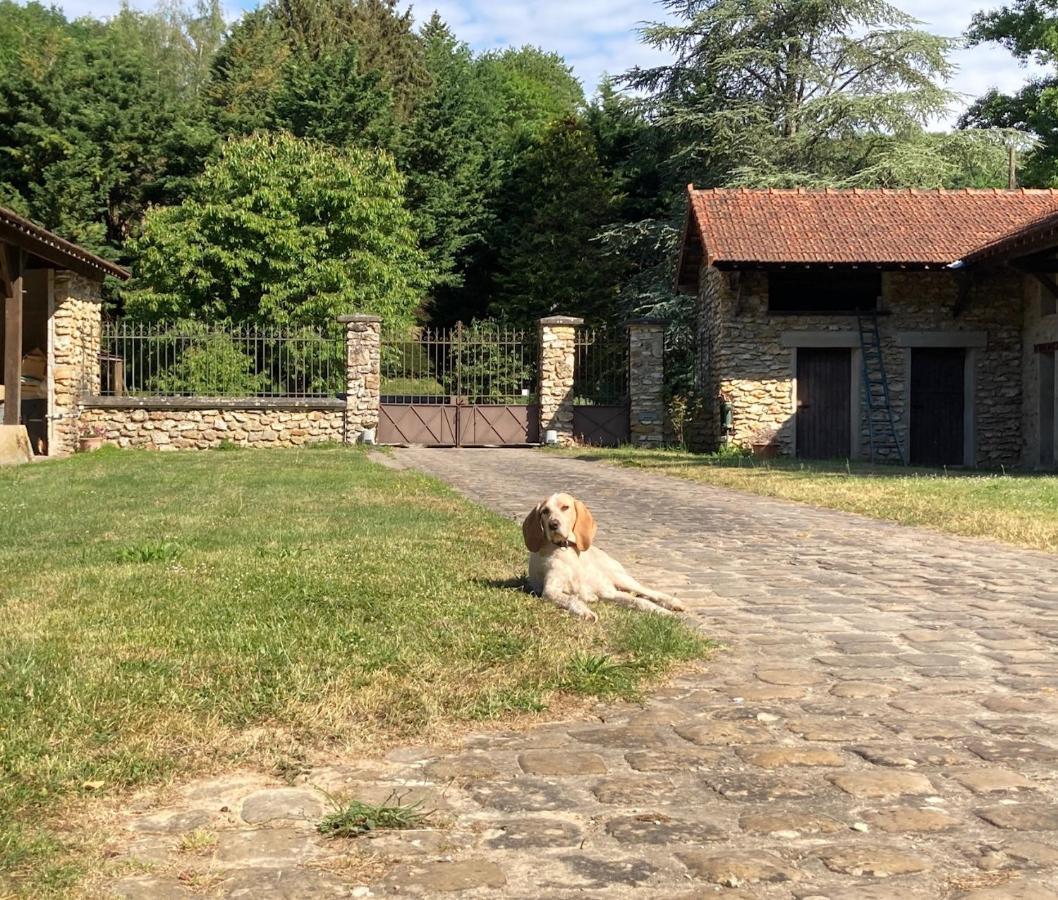 Le Moulin Regnelot - Chambre D'Hotes Verdelot ภายนอก รูปภาพ